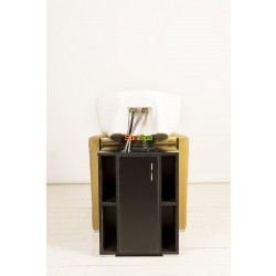 Парикмахерская мойка "Гармония II"