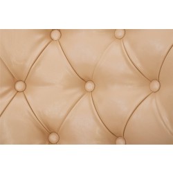 Маникюрное кресло для клиента Pansies