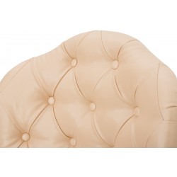 Маникюрное кресло для клиента Pansies