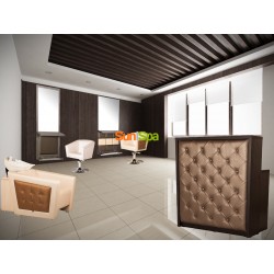 Парикмахерская мойка "Гармония II"