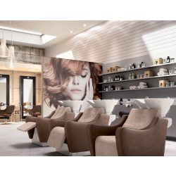 Мойка  парикмахерская "WEN PRO"