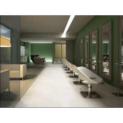 Мойка  парикмахерская "WEN PRO"