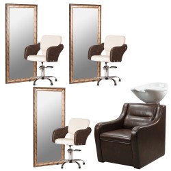 Парикмахерская мойка "Лоза"