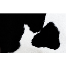 Парикмахерская мойка "Mu-Mu"