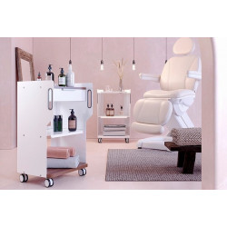 Тележка "FARGO MELODY"