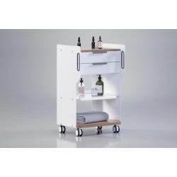 Тележка "FARGO GALAXY"