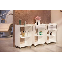 Тележка "FARGO GALAXY"