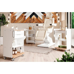 Тележка "FARGO MELODY"