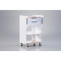 Тележка "FARGO GALAXY"