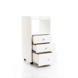 Тумба мастера "КОМПАКТ 1"