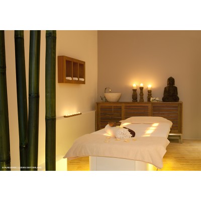 СПА кушетка "MLW AMPHIBIA"