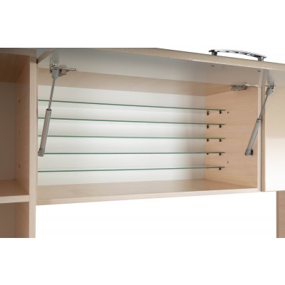 Лаборатория "807.11"