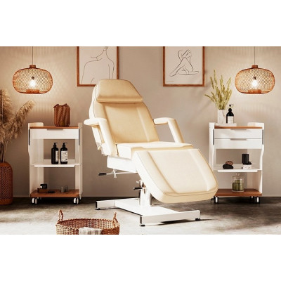 Тележка "FARGO GALAXY"